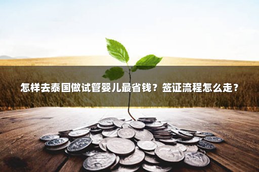 怎样去泰国做试管婴儿最省钱？签证流程怎么走？